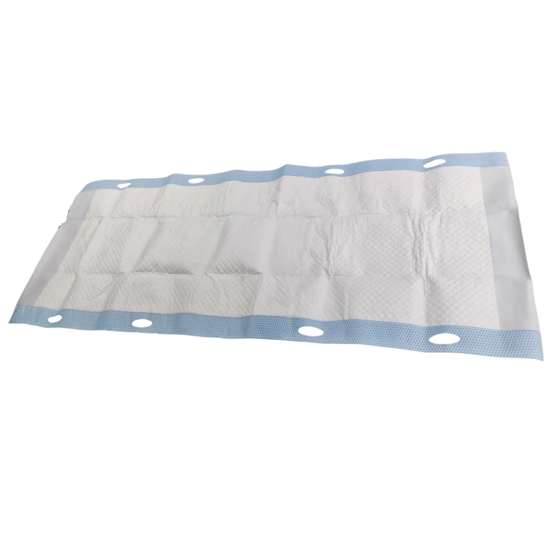 Disposable Transfer Sheets With Absorbent Pad